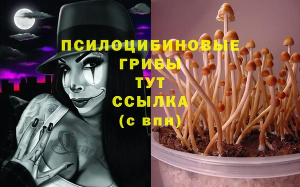 трава Волоколамск