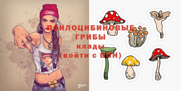 не бодяженный Володарск
