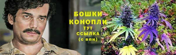 трава Волоколамск
