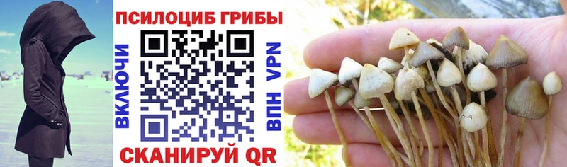 Псилоцибиновые грибы MAGIC MUSHROOMS  мега зеркало  Сыктывкар  где найти наркотики 